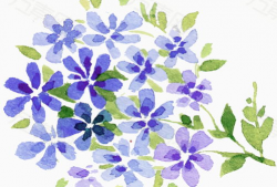 动漫 花,绽放于时光之河的青春传奇